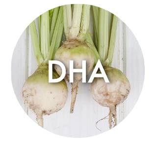 DHA (Dihydroxyacetone)