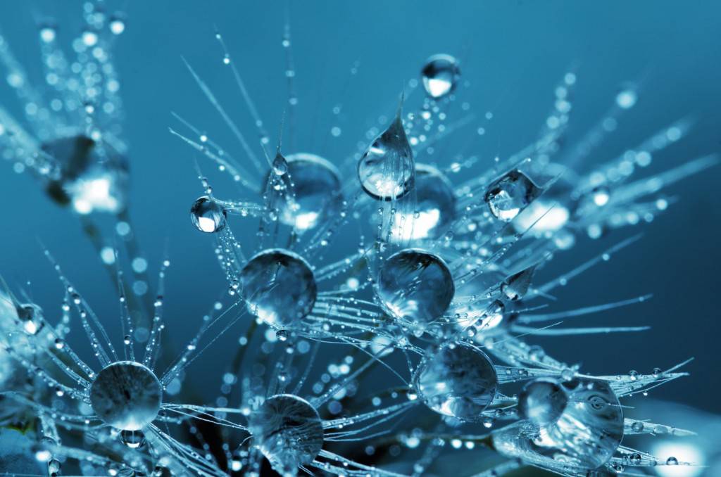 Low molecular collagen and peptides