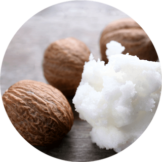 Shea Butter